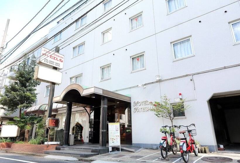 فندق Tateshina