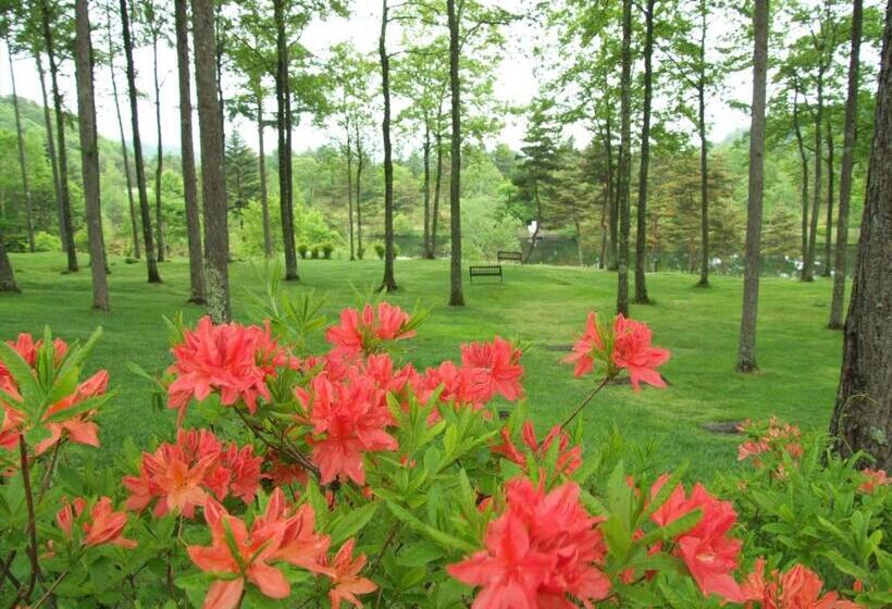 فندق Tateshina Tokyu