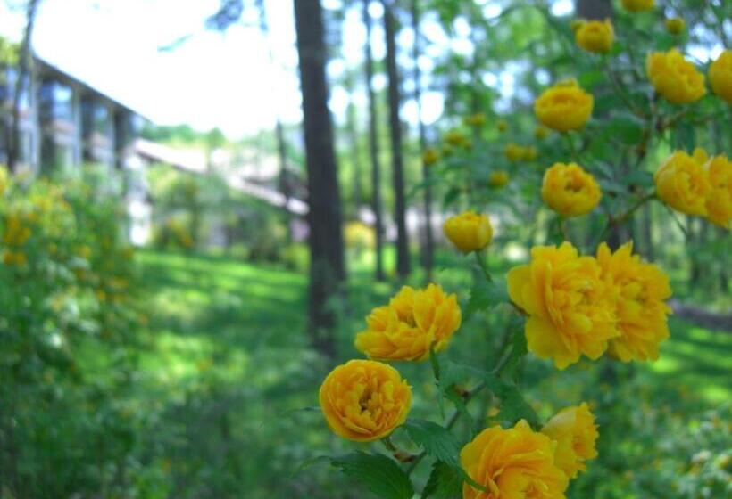 فندق Tateshina Tokyu