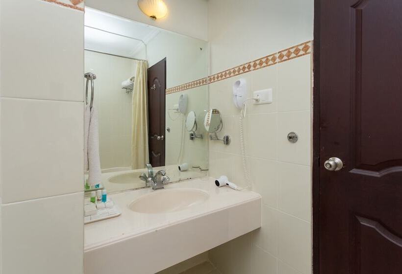 酒店 The Windsor Castle