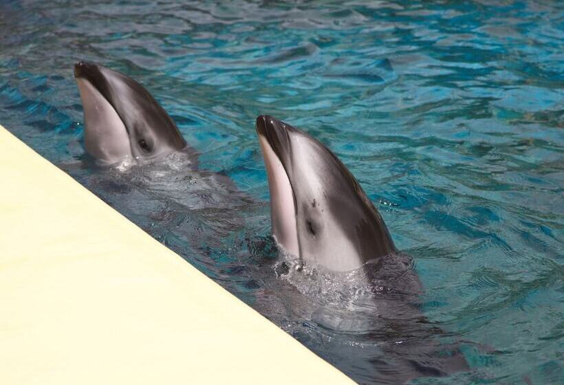 Отель Toyoko Inn Fujisan Numazu-eki Kita-guchi No.2