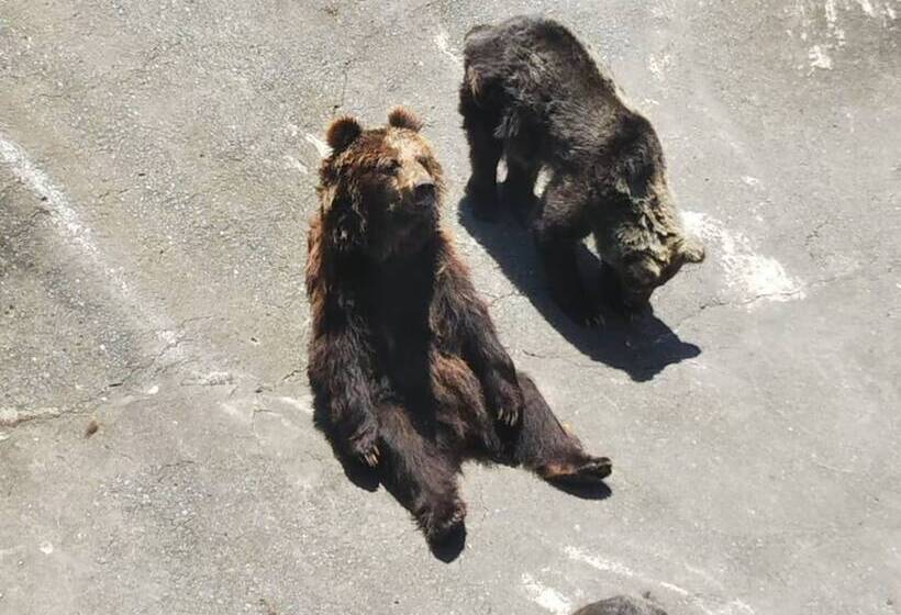 هتل Toyoko Inn Kumamoto Kotsu Center Mae