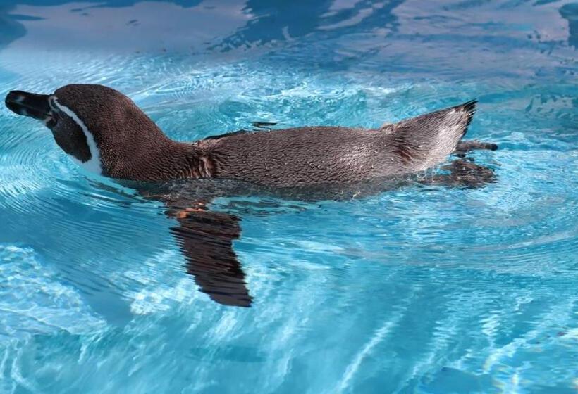 فندق Toyoko Inn Musashi-Nakahara Ekimae