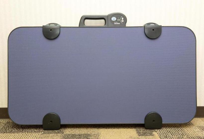 בית מלון כפרי Toyoko Inn Okayama-eki Nishiguchi Hiroba