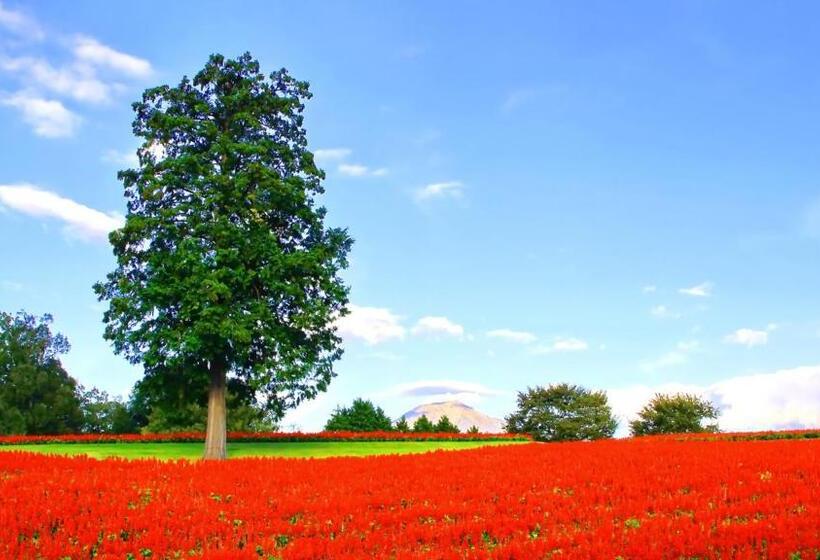 فندق Toyoko Inn Yonago Ekimae