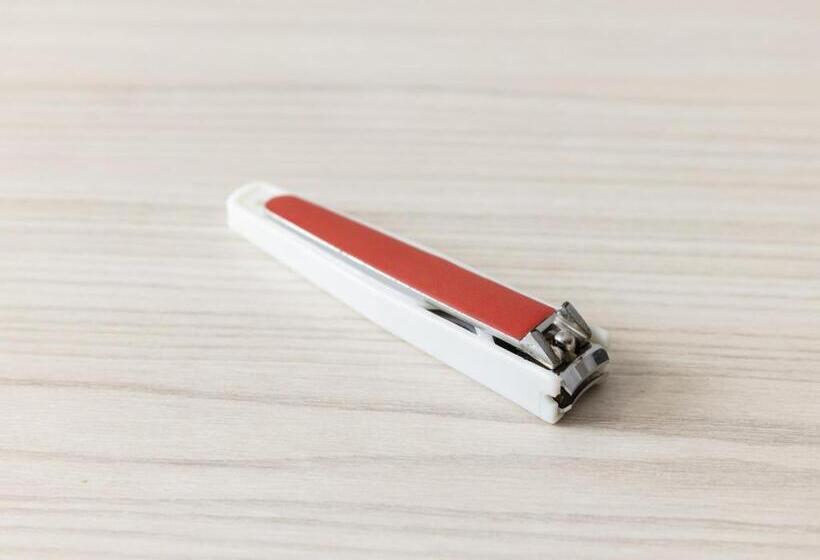 בית מלון כפרי Wing International Nagoya