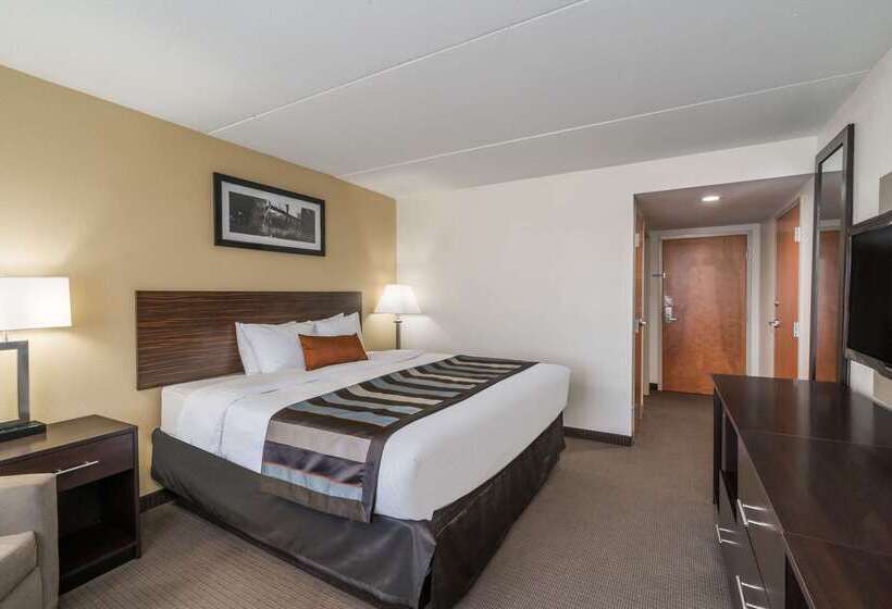 ホテル Wingate By Wyndham Bowling Green