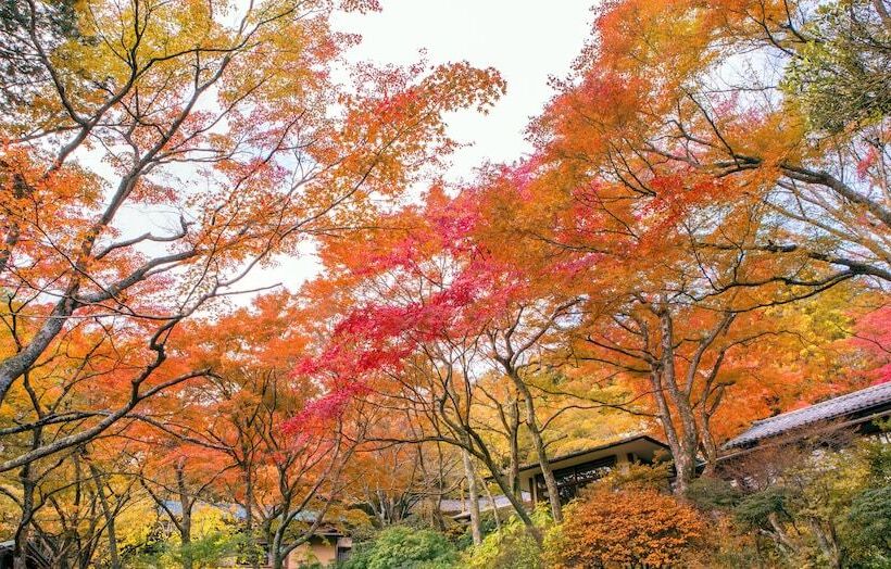 旅館 Gora Kansuiro