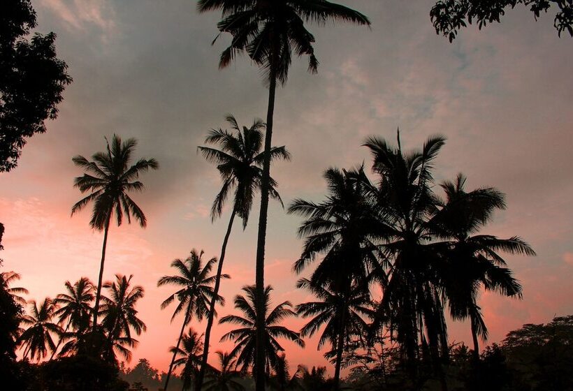 Ayurvedagram Bali