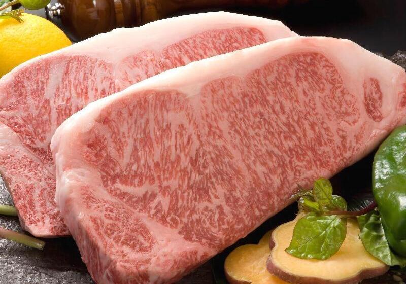 Hoho A Hotel Overlooking The Echigo Plain And The Yahiko Mountain Range Formerly Hotel Oohashi Yakat