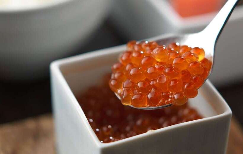 فندق Akan Tsuruga Besso Hinanoza