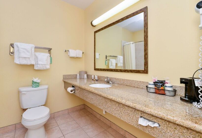 בית מלון כפרי Americas Best Value Inn & Suites Livingston