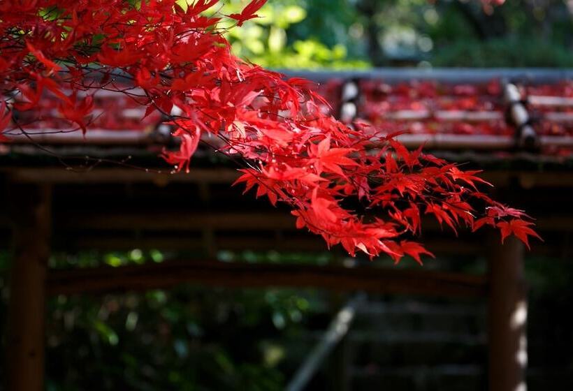 Отель Nakanobo Zuien