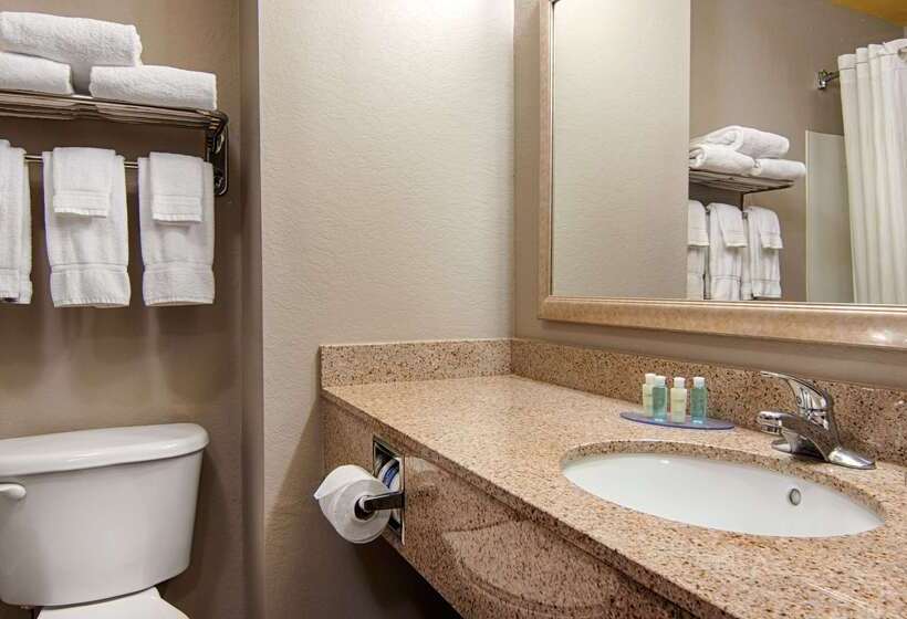 בית מלון כפרי Best Western Auburndale Inn & Suites