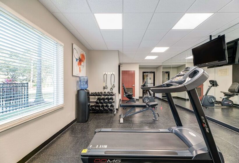 فندق Best Western Auburndale Inn & Suites