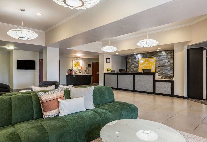 فندق Best Western Auburndale Inn & Suites