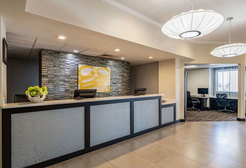 בית מלון כפרי Best Western Auburndale Inn & Suites