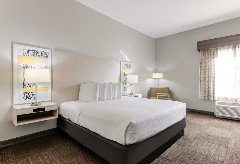 فندق Best Western Auburndale Inn & Suites