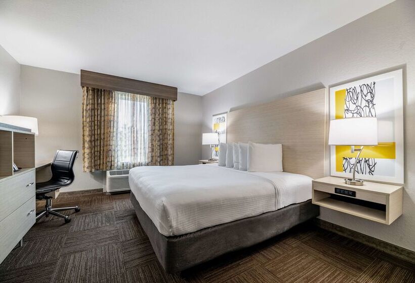בית מלון כפרי Best Western Auburndale Inn & Suites