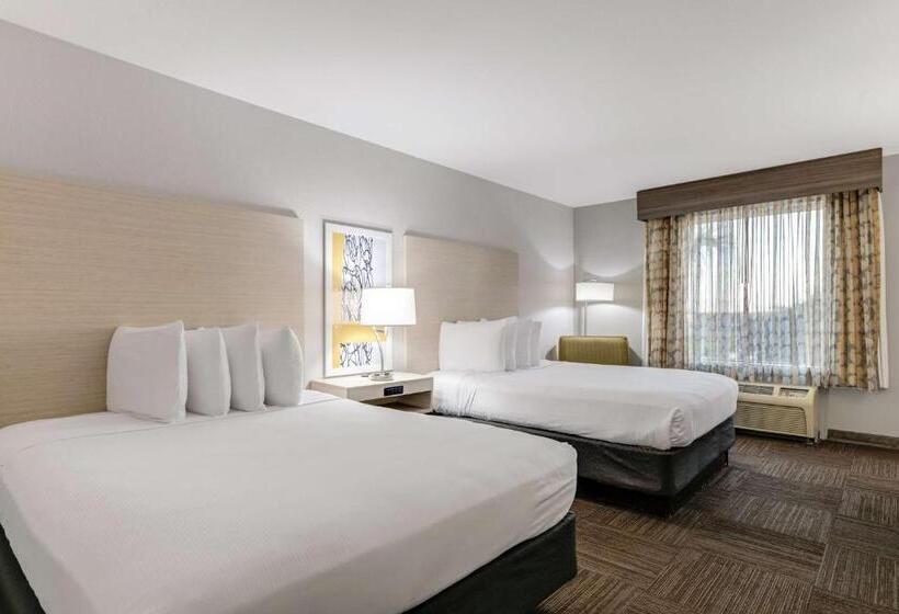 فندق Best Western Auburndale Inn & Suites