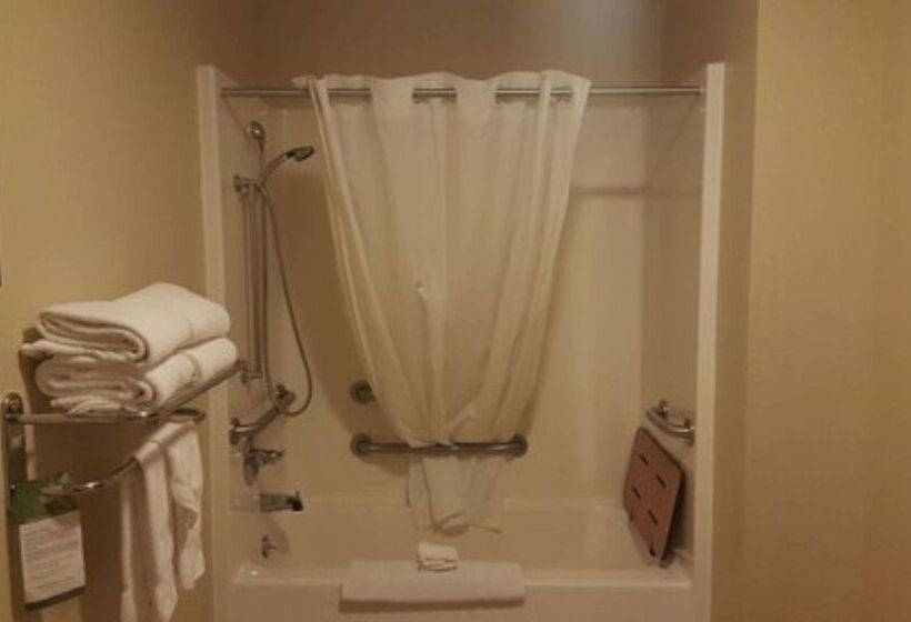 בית מלון כפרי Best Western Central City