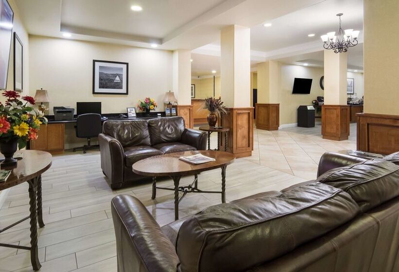 ホテル Best Western Comanche Inn