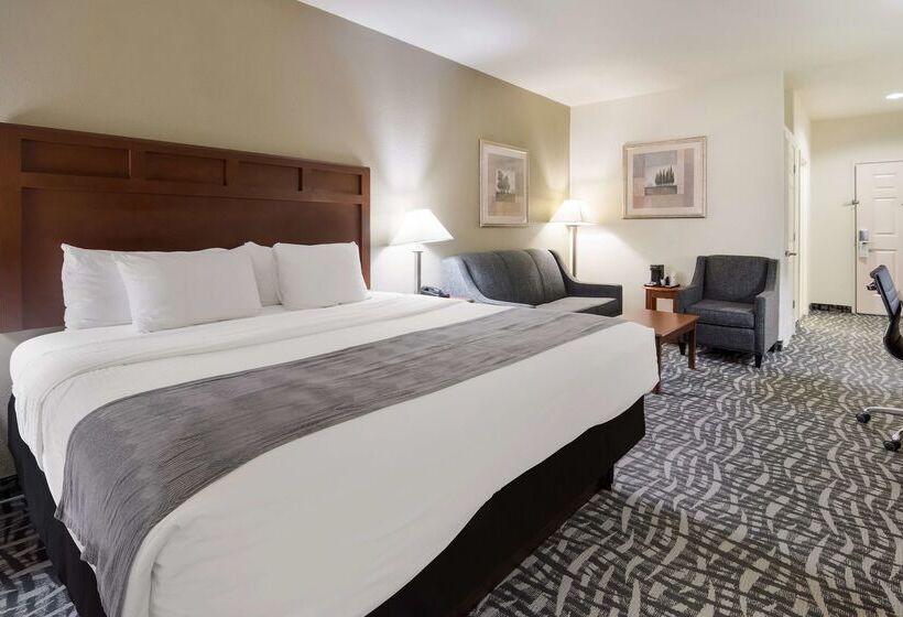 ホテル Best Western Comanche Inn