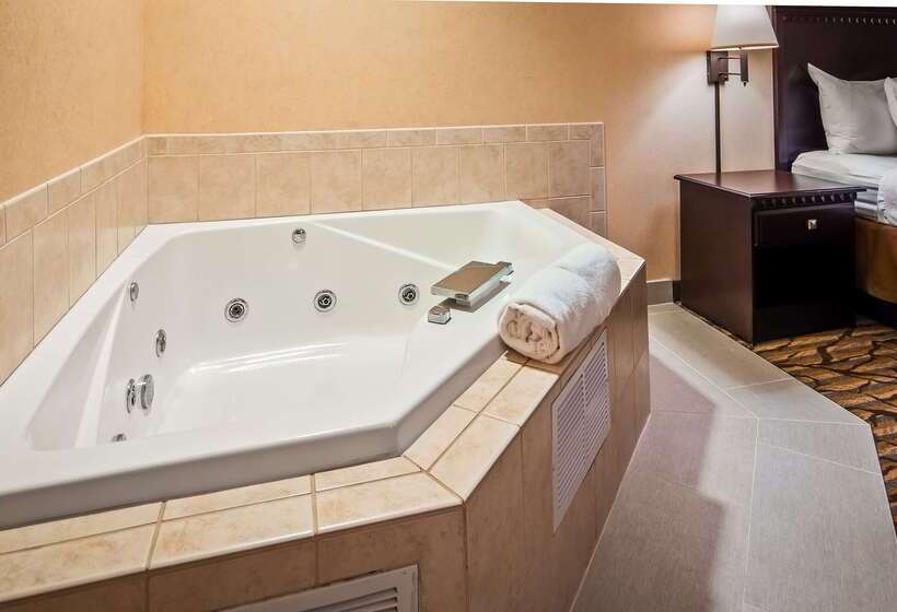 فندق Best Western Danville Inn