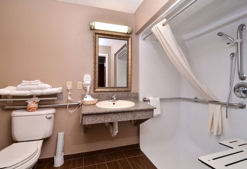 酒店 Best Western Dayton Inn & Suites