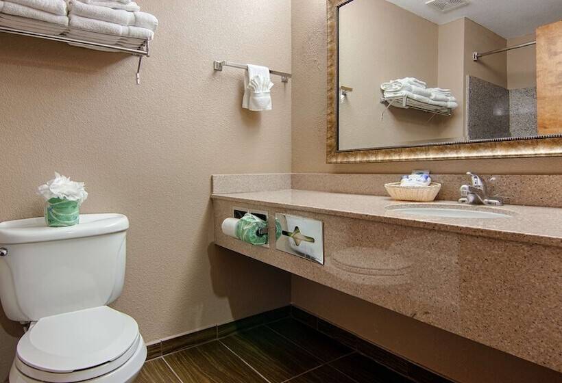 호텔 Best Western Dayton Inn & Suites