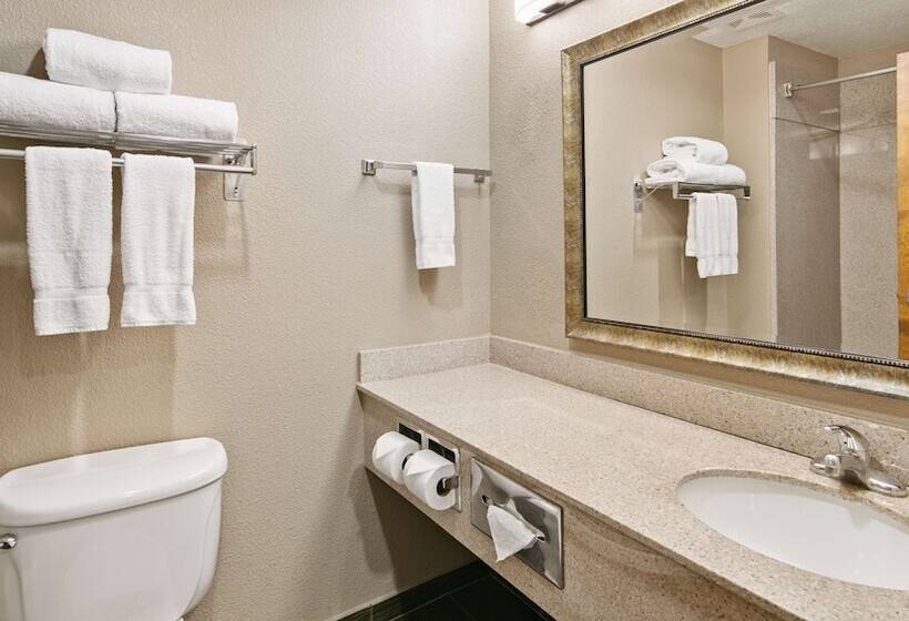 酒店 Best Western Dayton Inn & Suites