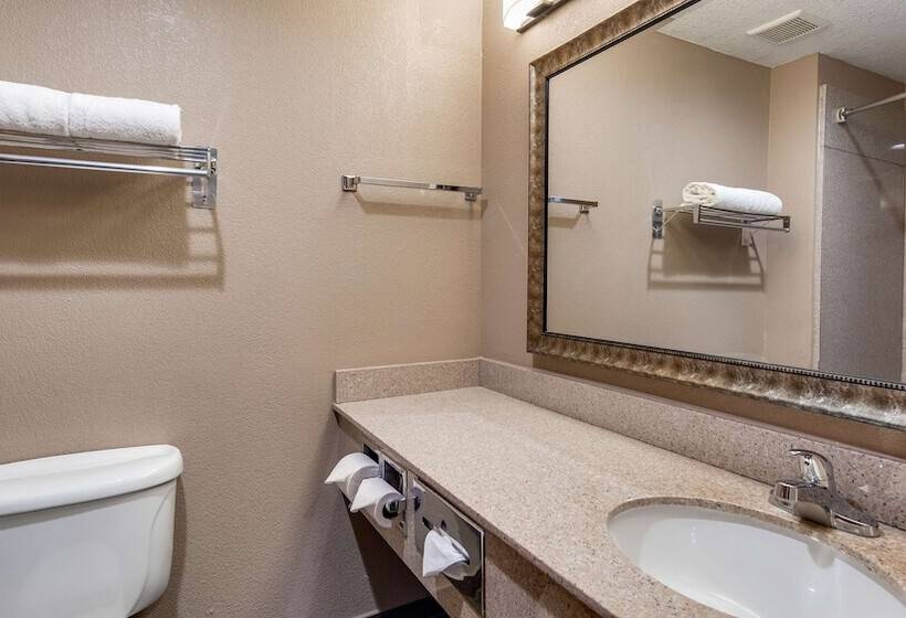 酒店 Best Western Dayton Inn & Suites