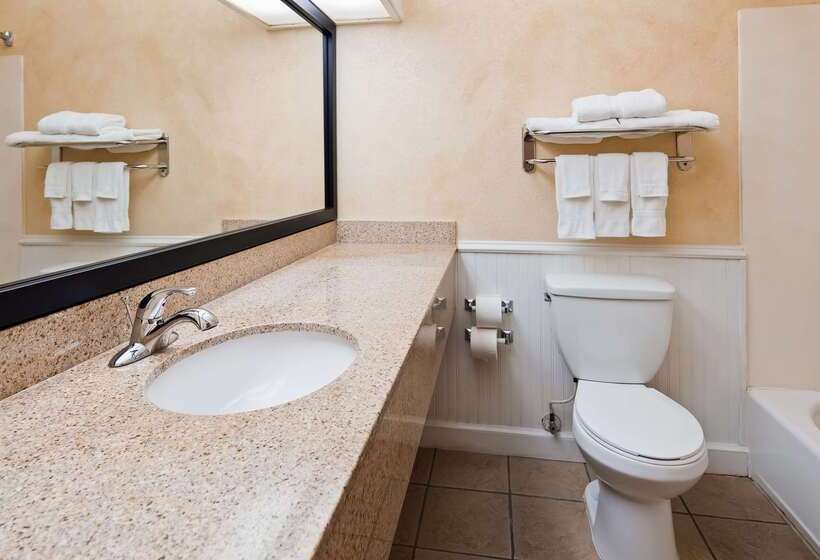 호텔 Best Western Dinosaur Valley Inn & Suites