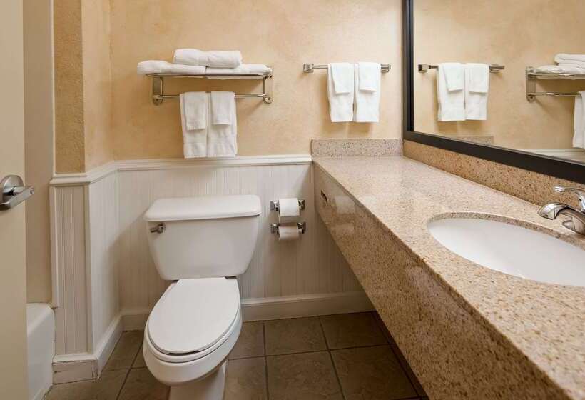 호텔 Best Western Dinosaur Valley Inn & Suites