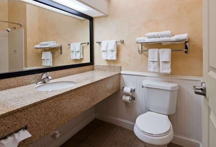 호텔 Best Western Dinosaur Valley Inn & Suites