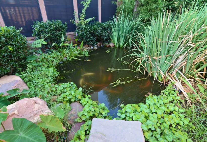 בית מלון כפרי Best Western Dinosaur Valley Inn & Suites