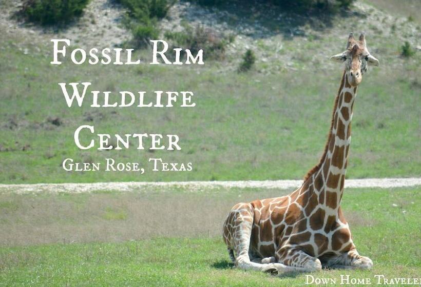 호텔 Best Western Dinosaur Valley Inn & Suites