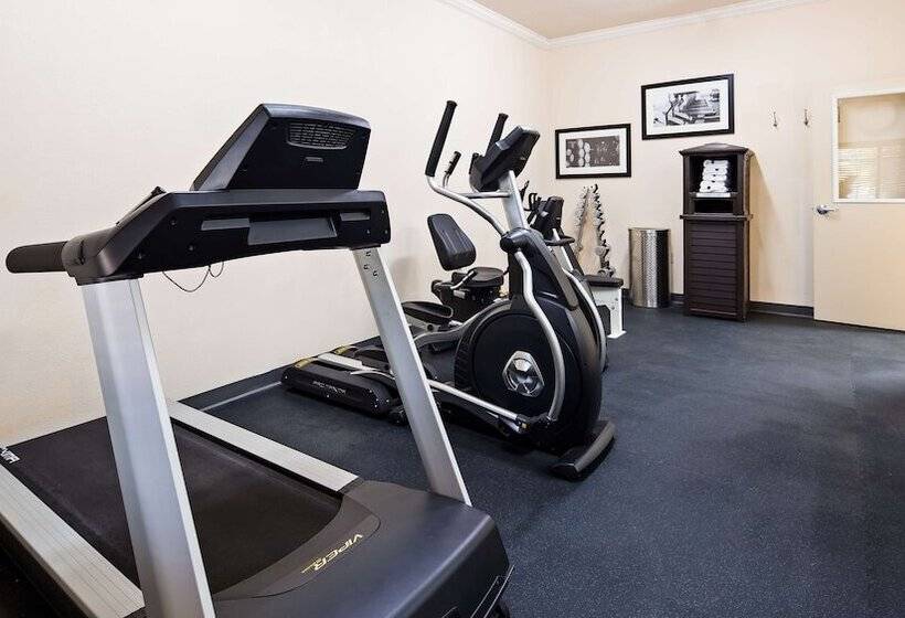 בית מלון כפרי Best Western Dinosaur Valley Inn & Suites