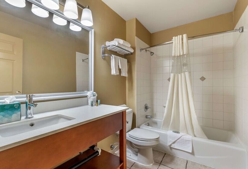 ホテル Best Western Dos Rios