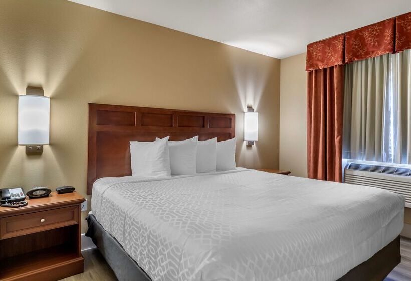 Отель Best Western Dos Rios