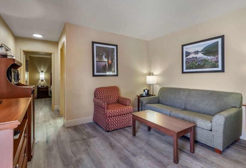 Отель Best Western Dos Rios