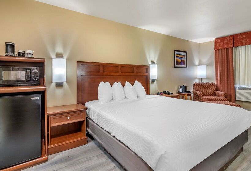 ホテル Best Western Dos Rios