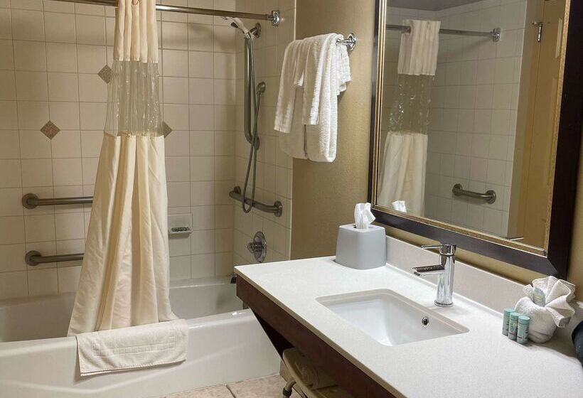 ホテル Best Western Dos Rios