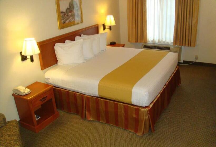 호텔 Best Western Executive Inn & Suites