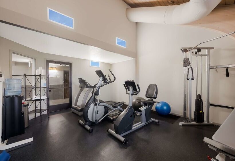 فندق Best Western Executive Inn