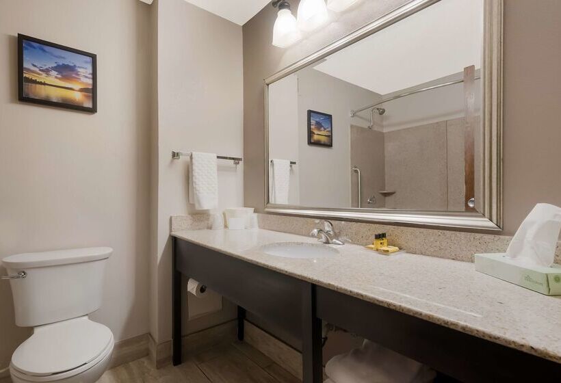 فندق Best Western Executive Inn