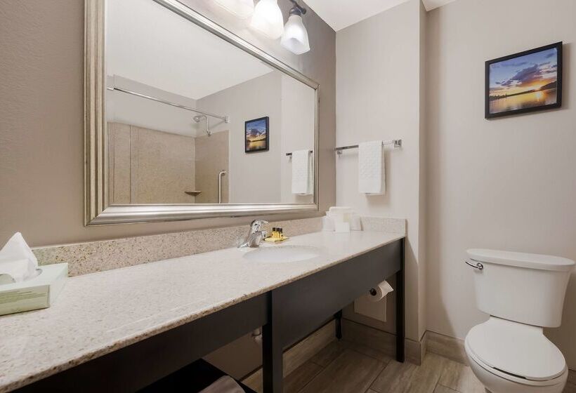 فندق Best Western Executive Inn