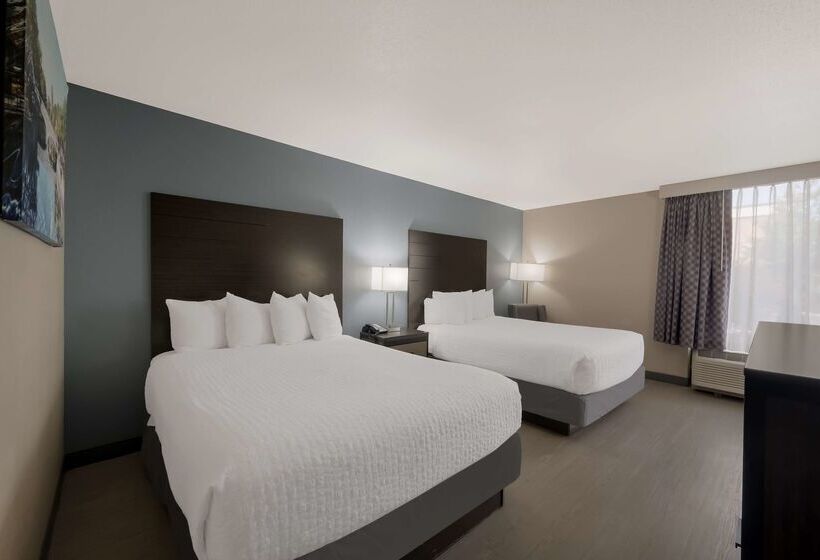 فندق Best Western Executive Inn