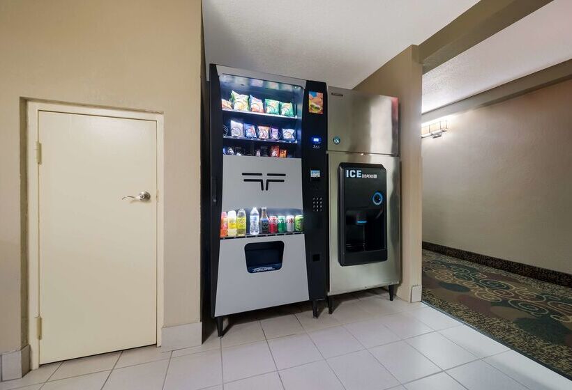 בית מלון כפרי Best Western Executive Inn