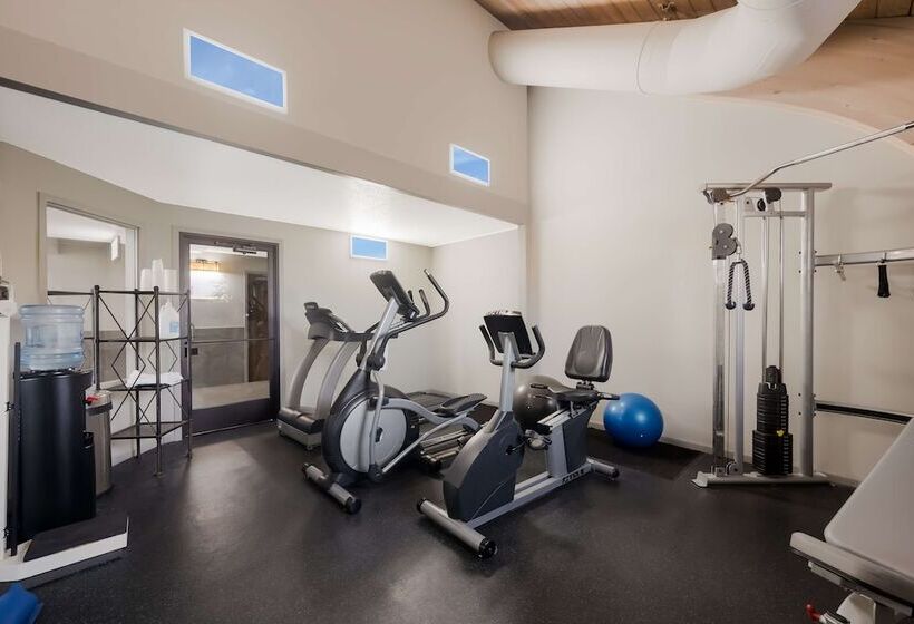 فندق Best Western Executive Inn